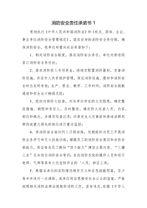 消防安全责任承诺书1.docx