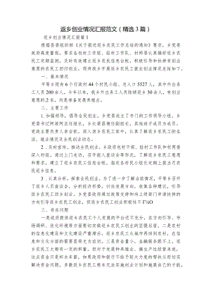 返乡创业情况汇报范文(精选3篇).docx