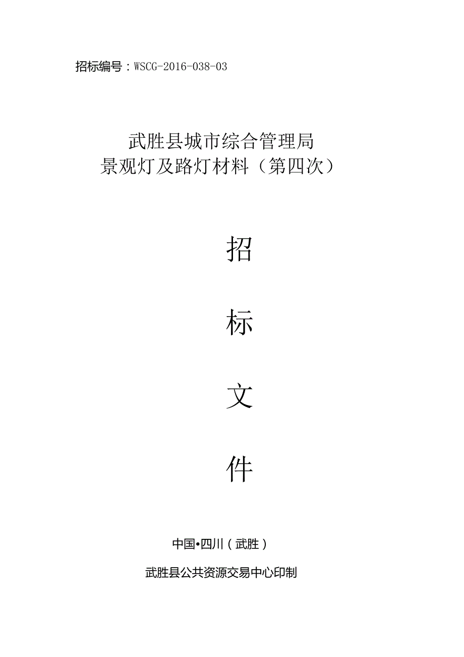 某市综合管理局景观灯及路灯材料公开招标文件.docx_第1页