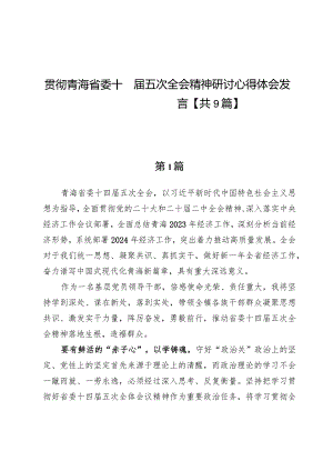 贯彻青海省委十四届五次全会精神研讨心得体会发言【9篇】.docx