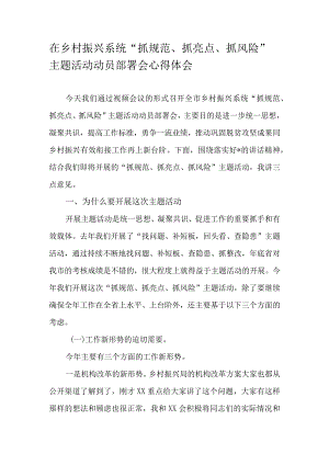 在乡村振兴系统“抓规范、抓亮点、抓风险”主题活动动员部署会心得体会.docx