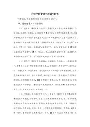 村支书抓党建工作情况报告.docx