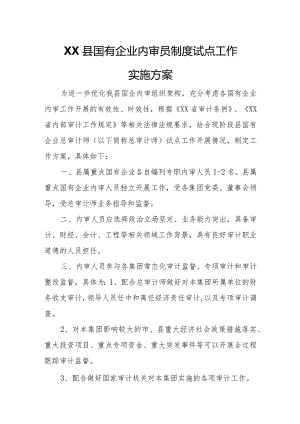 XX县国有企业内审员制度试点工作实施方案.docx