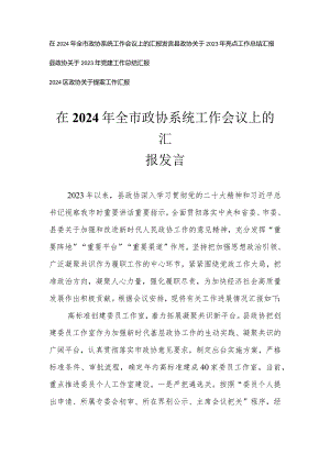 （4篇）在2024年全市政协系统工作会议上的报告发言党建工作总结.docx