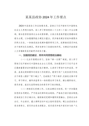 某某县政协2024年工作要点.docx