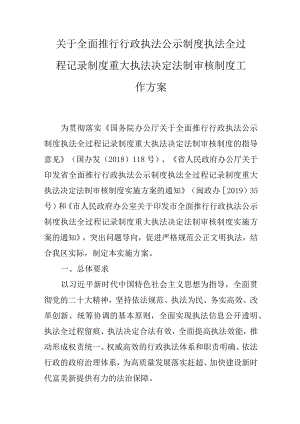 关于全面推行行政执法公示制度执法全过程记录制度重大执法决定法制审核制度工作方案.docx