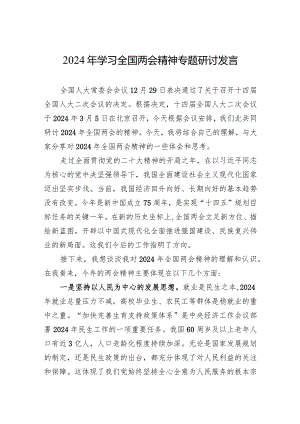 2024年学习全国两会精神专题研讨发言.docx