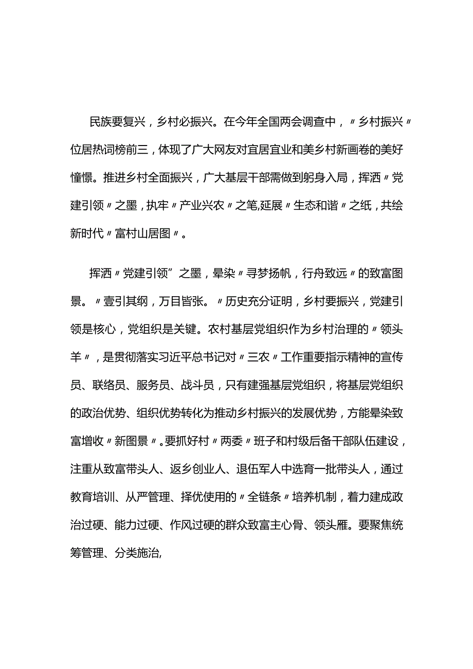 党支部贯彻两会精神发言材料心得体会(精选资料).docx_第1页