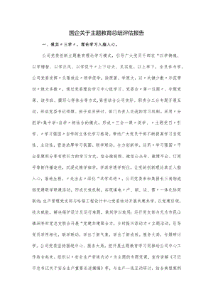 国企关于主题教育总结评估报告.docx