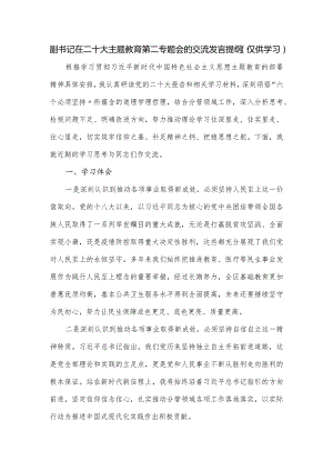 副书记在二十大主题教育第二专题会的交流发言提纲.docx