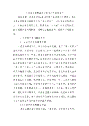 公司回头看整改班子检查材料剖析发言.docx