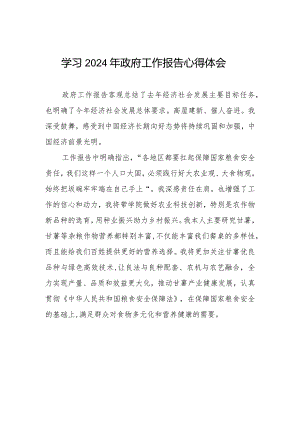 学习2024年两会政府工作报告心得感悟二十篇.docx