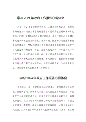 2024年两会《政府工作报告》学习体会发言稿二十篇.docx