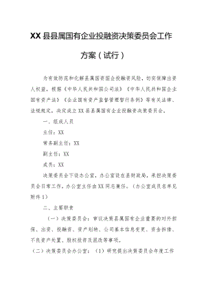 XX县县属国有企业投融资决策委员会工作方案.docx