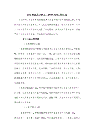 巡察反馈意见民主生活会上的工作汇报.docx