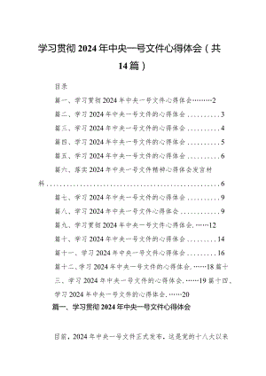 学习贯彻2024年中央一号文件心得体会14篇（完整版）.docx