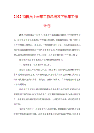 2022销售员上半年工作总结及下半年工作计划.docx