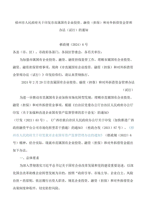 梧州市人民政府关于印发市直属国有企业投资、融资(担保)和对外拆借资金管理办法(试行)的通知.docx