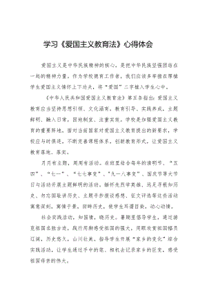 学习爱国主义教育法心得感悟8篇.docx