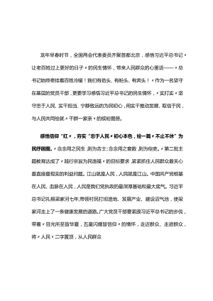 贯彻两会精神发言材料心得体会五篇合集.docx