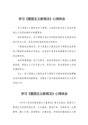 《爱国主义教育法》学习心得体会8篇.docx