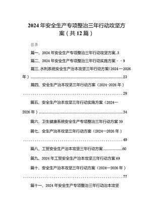 2024年安全生产专项整治三年行动攻坚方案12篇（详细版）.docx