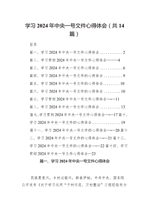 学习2024年中央一号文件心得体会范文14篇（详细版）.docx