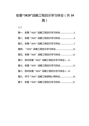 收看“3820”战略工程启示学习体会10篇（最新版）.docx