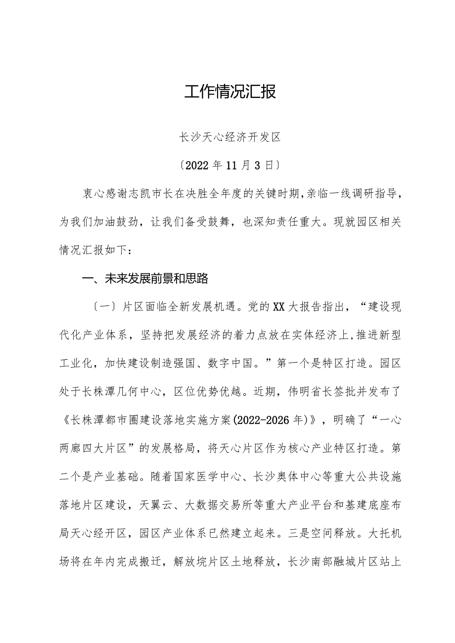 市长调研总体汇报材料.docx_第1页