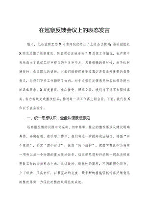 在巡察反馈会议上的表态发言01.docx