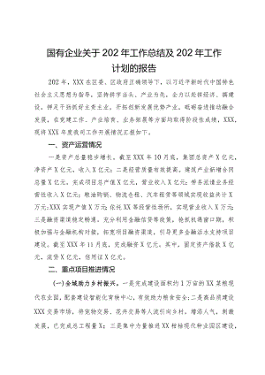 国有企业关于202年工作总结及202年工作计划的报告.docx