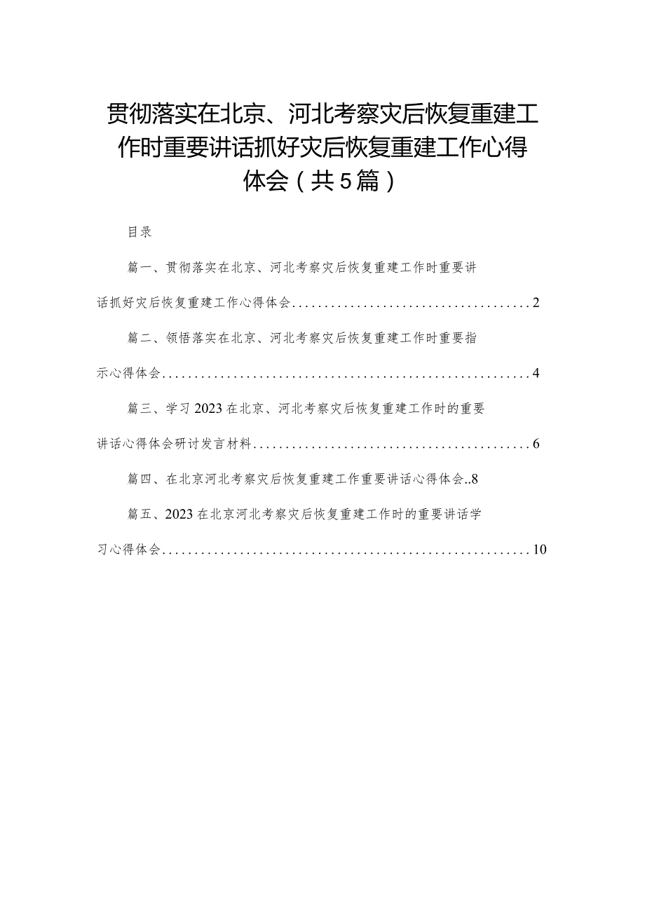 2024贯彻落实在北京、河北考察灾后恢复重建工作时重要讲话抓好灾后恢复重建工作心得体会（共五篇）汇编.docx_第1页