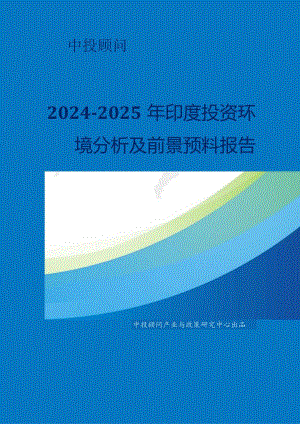 2024-2025年印度投资环境分析及前景预测报告.docx