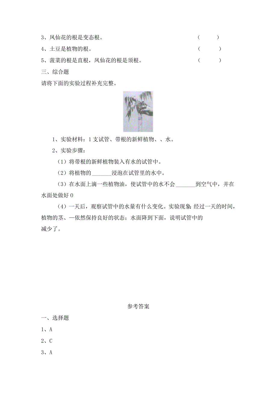 1-3 种子长出了根（习题）四年级下册科学 教科版.docx_第2页