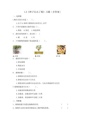 1-3 种子长出了根（习题）四年级下册科学 教科版.docx