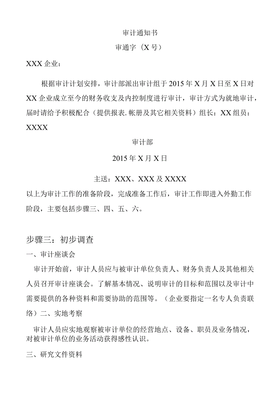 内部审计步骤.docx_第3页