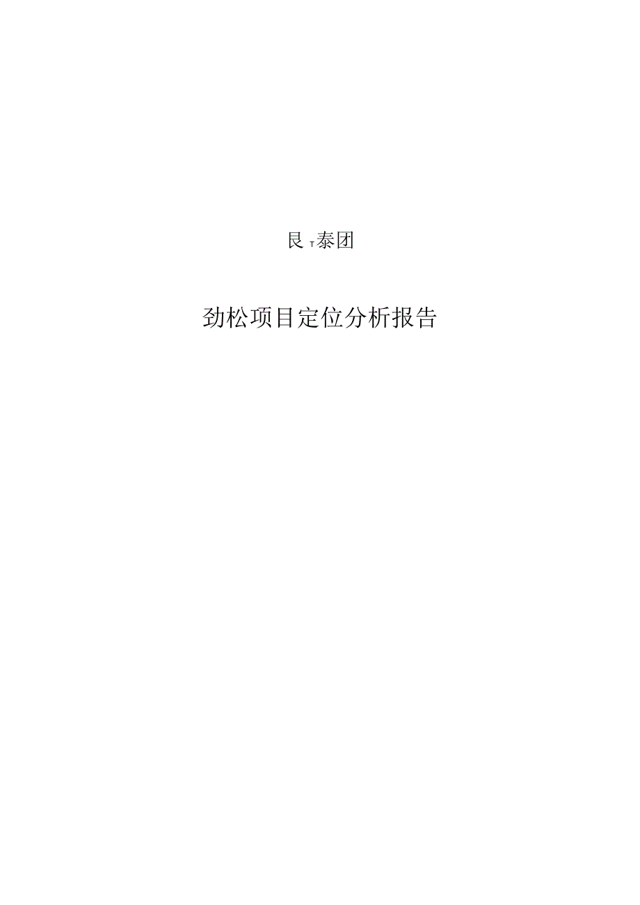 XX集团劲松项目定位分析报告.docx_第1页