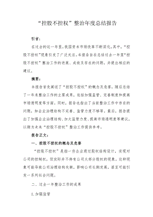 “控股不控权”整治年度总结报告（专业完整模板）.docx