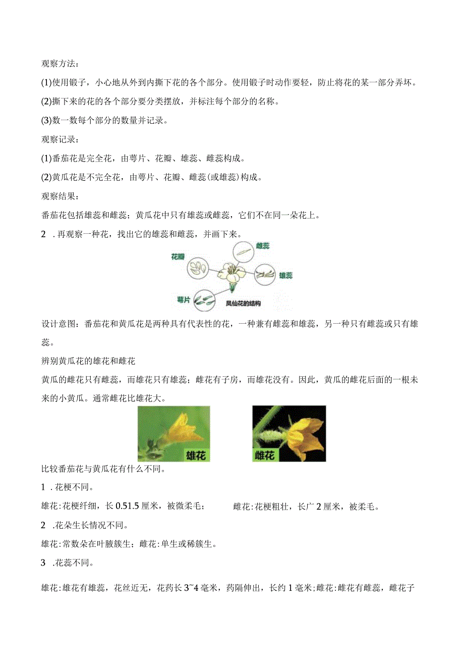 第3课 植物开花了（教学设计）三年级科学下册（苏教版）.docx_第2页