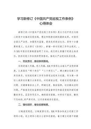 学习2024年新修订中国共产党巡视工作条例的心得体会(五篇).docx