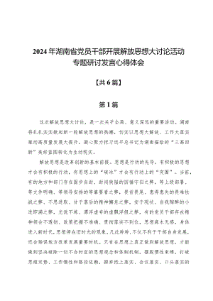 2024年湖南省党员干部开展解放思想大讨论活动专题研讨发言心得体会六篇.docx