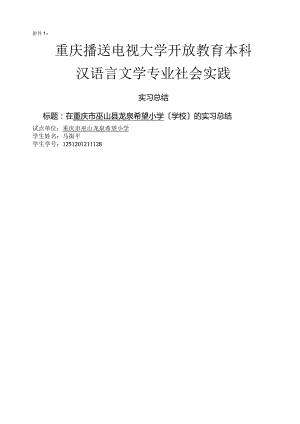 汉语言文学专业社会实践的报告.docx