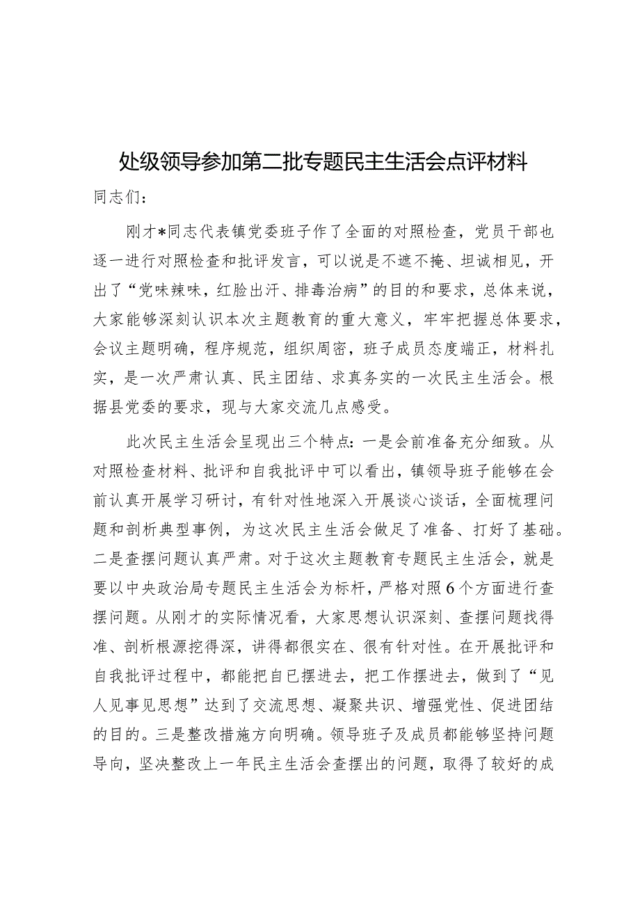 点评讲话：处级领导参加第二批主题教育专题民主生活会.docx_第1页