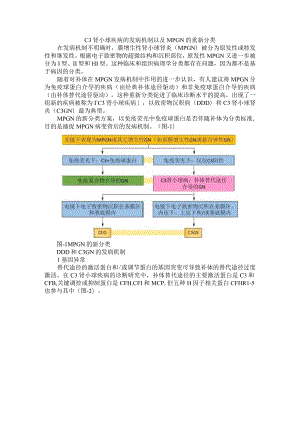 C3 肾小球疾病的发病机制以及 MPGN 的重新分类.docx