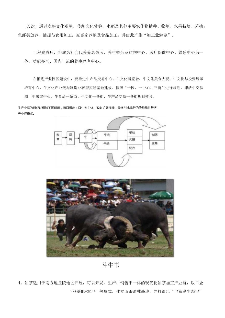 江西巴布洛农业综合体项目策划研究报告.docx_第2页