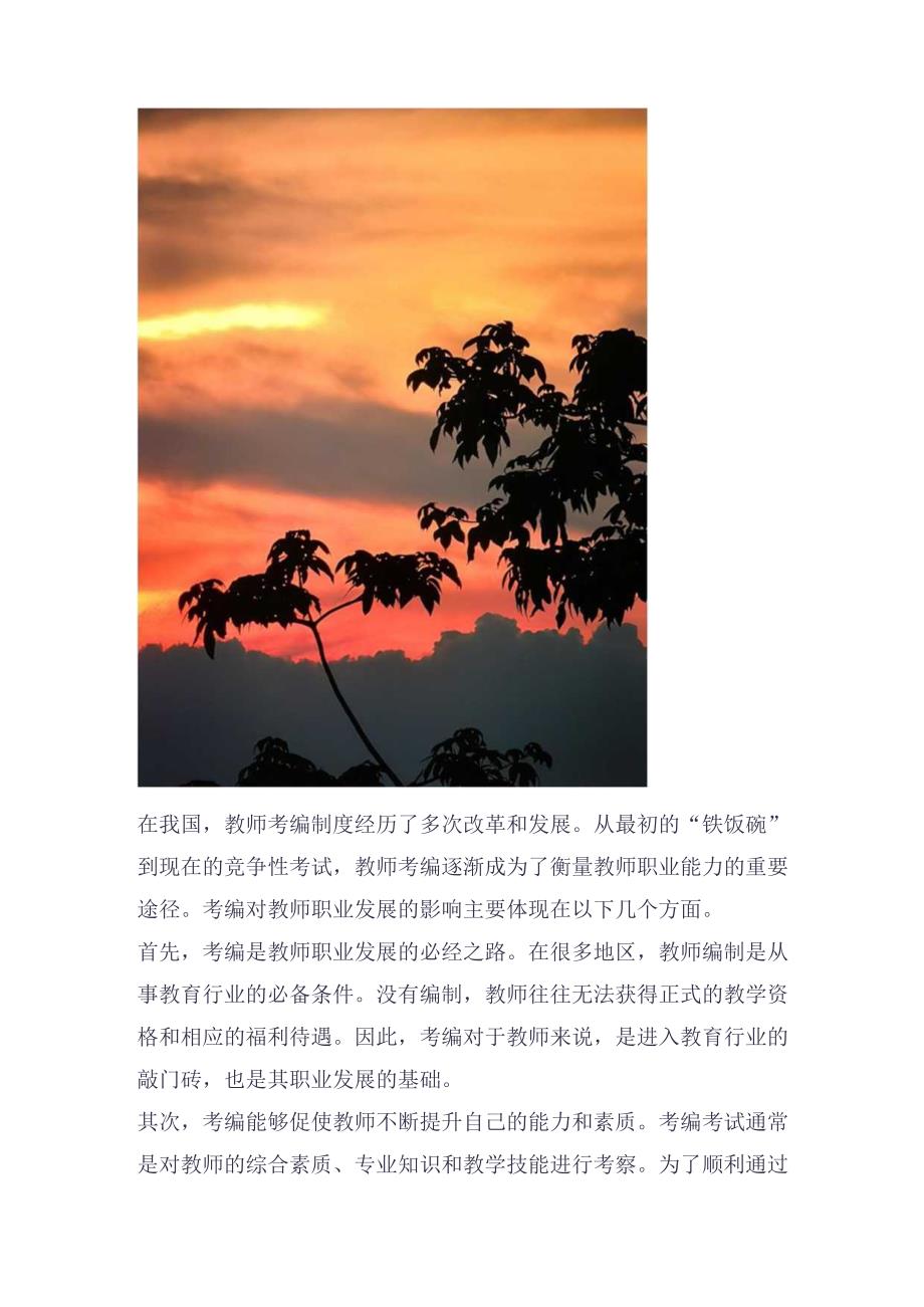 教师考编与教师职业规划的关系探究.docx_第2页