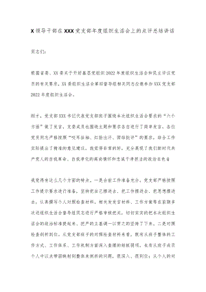 X领导干部在XXX党支部年度组织生活会上的点评总结讲话【 】.docx