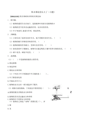 第2课 幼苗长大了（分层练习）三年级科学下册（苏教版）.docx