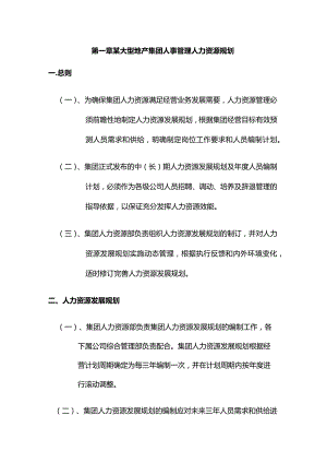 某大型地产集团人事管理人力资源规划.docx