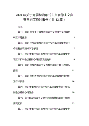 2024年关于开展整治形式主义官僚主义自查自纠工作的报告12篇（精选版）.docx